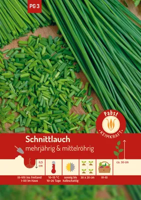 Artikelbild 1 von 'Schnittlauch Middleman' aus der Kategorie Schnittlauchsamen