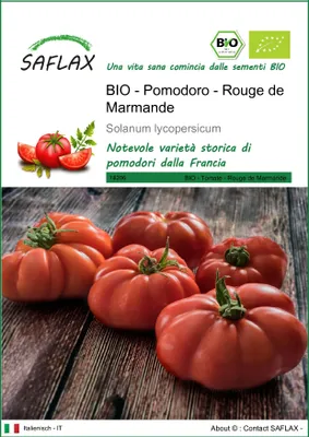 Immagine prodotto di SAFLAX  -- Pomodoro - Rouge de Marmande - 10 semi - Solanum