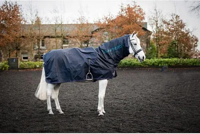 Productafbeelding van Paardendeken met Hals - Regendeken Paard - Paard Droog Houden - Waterdicht Ademend - XL - Navy Bordeaux