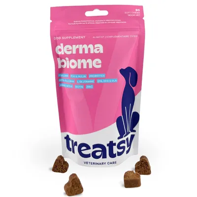 Produktbild von Treatsy DermaBiome für Hunde – hypoallergene Kau-Snacks mit hydrolysiertem Lamm, Omega-3, Zink & Biotin bei Allergien und Hautproblemen