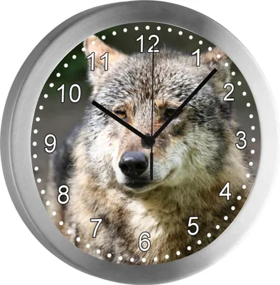 Produktbild von Funkuhr, Kinder Wanduhr, Kinderuhr, Kinderzimmer  Wolf