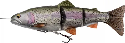 Produktbild von Savage Gear 4D Line Thru Trout - Gummiforelle Gummifisch, Farbe:Rainbow, Länge / Gewicht /Schwimmverhalten:25cm / 180g / langsam sinkend