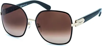 Obrázek produktu pro Salvatore Ferragamo SF150S/733