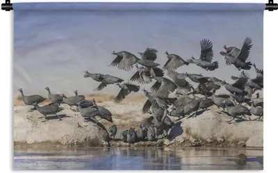 Produktbild von MuchoWow® Wandteppich Wandbehang Perlhühner - Vögel - Fliegen 60x40 cm Tapisserie Dekoration Wandtuch - Wanddekorationen
