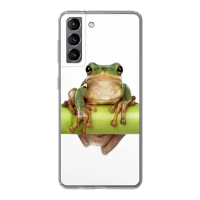 Produktbild von MuchoWow® Handyhülle Schutzhülle Hülle für Samsung Galaxy S21 Frosch - Bambus - Weiß Silikon Softcase Handy Hülle - Softcase