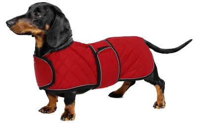 Wintermantel für Hunde, wasserdicht, Fleece-Futter, Rot, S