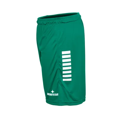 Produktbild von DERBYSTAR Handballshorts Primo Hose v24