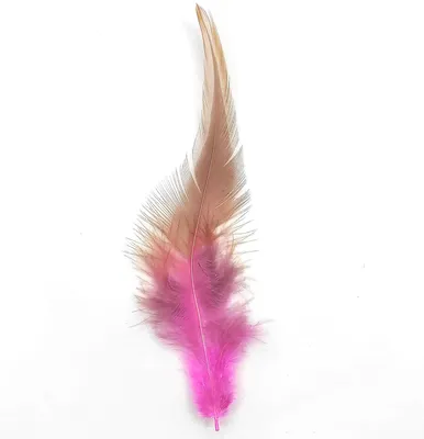 Produktbild von Federn Hahnenfedern, ca. 10-15 cm, 50 Stück, Rosa