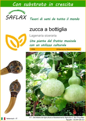 Immagine prodotto di SAFLAX  -  zucca a bottiglia - 15 semi - Con substrato - Lagenaria