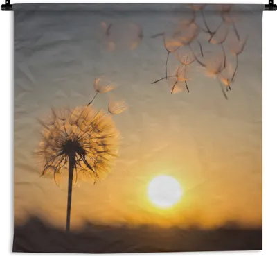Produktbild von MuchoWow® Wandteppich Wandbehang Löwenzahn - Sonne - Sonnenuntergang 90x90 cm Tapisserie Dekoration Wandtuch - Wandaufhänger