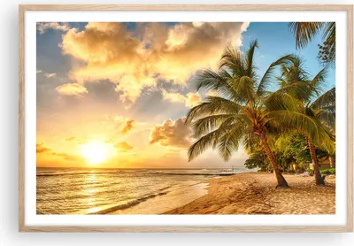 Produktbild von Gerahmtes Poster - Rahmen in heller Eiche - Strand Meer Palme - 91,5x61 cm - Wand Bild - Wanddeko - Wandbilder - Wandposter - Bilderrahmen - Bilder - Kunstdruck - Wandbild - P2NAA91x61-3606