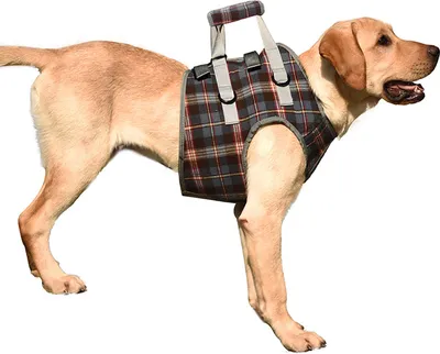 Produktbild von Hundeliftgeschirr, professionell, verstellbar, atmungsaktiv, Hilfsgurt, Hilfsschlinge für behinderte, hochbetagte Hunde, blau kariert