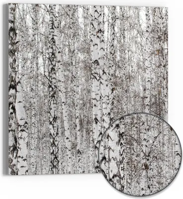 Produktbild von DEQORI Hybrid Leinwand Bild 50x50 cm 'Birkengeheimnis' Wandbild Glas flach modern