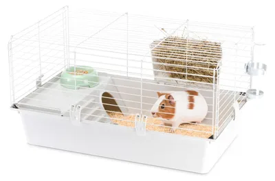 Produktbild von Ferplast Cavie 80, Käfig, Meerschweinchen, Weiß, Kunststoff, Metall, 1 Tür(en), 480 mm