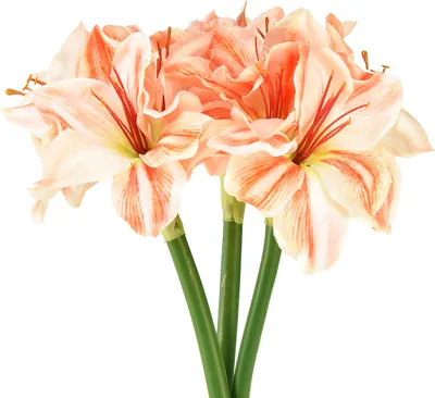 Produktbild von Künstliche Amaryllis 40cm - Täuschend echte Kunstblumen im 3er-Set, Farben Weiß, Rot, Orange, Deko-Blüten für Zuhause & Büro, 3 Stück
