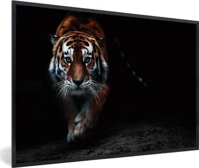 Produktbild von MuchoWow® Gerahmtes Poster Tiere - Tiger - Schwarz - Wild - Porträt 90x60 cm - Poster mit Schwarzem Bilderrahmen Wandposter Rahmen Foto Bilder - Fotorahmen - Foto-Plakat