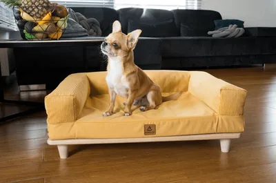Produktbild von Animood Hundesofa Hundebett Sonya senfgelb 66x50x15cm