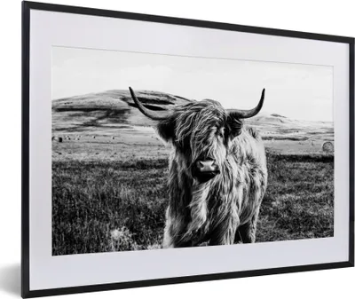 Produktbild von MuchoWow® Gerahmtes Poster Schwarz - Weiß - Schottischer Highlander - Gras 60x40 cm - Poster mit Schwarzem Bilderrahmen Wandposter Rahmen Foto Bilder - Schlafzimmer - Plakat in Rahmen - Drucken