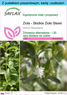 Zdjęcie produktu dla SAFLAX - Zestaw prezentowy - Zioła - Słodkie Zioło Stewii - 100 Nasiona - Z pudełkiem upominkowym, etykietą wysyłkową, kartą podarunkową i podłożem uprawowym - Stevia rebaudiana