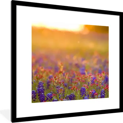 Produktbild von MuchoWow® Gerahmtes Poster Blumen - Gold - Sonne 40x40 cm - Poster mit Schwarzem Bilderrahmen Wandposter Rahmen Foto Bilder - Poster - Plakat im Rahmen