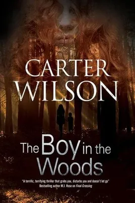 Produktbild von The Boy in the Woods