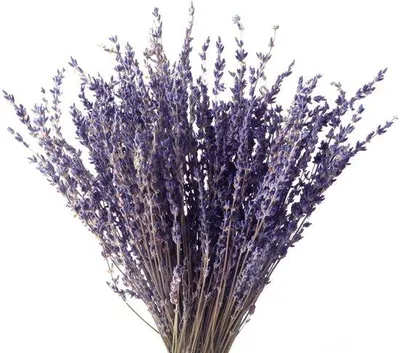 Immagine prodotto di Ibenzoa® Bouquet di lavanda essiccata, 100 g – Composizione naturale di lavanda per decorazione e profumazione, ideale per la casa, matrimoni e come regalo, dalla lunga durata