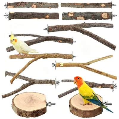 Image de 12 perches en bois naturel pour perroquets et autres oiseaux