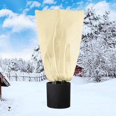 Image de Toile d'hivernage pour arbres, 250 x 360 cm, pour palmiers, avec une toile de protection de 80 g/m², beige, pour citronniers, protection des plantes et couvertures pour les plantes de jardin en hiver.