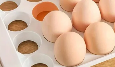 Produktbild von Orion Großer Eierbehälter Organizer für den Kühlschrank