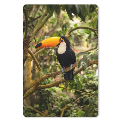 Produktbild von MuchoWow® Mauspad Mousepad Vogel - Tukan - Dschungel - Natur - Tropisch 18x27 cm - Mousepads - Maus Mat - Pad - Mausunterlage