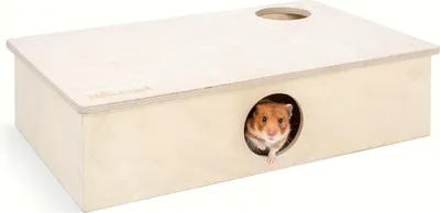 Image de Niteangel Maison pour hamster en bois Labyrinthe multi-chambres Jouets