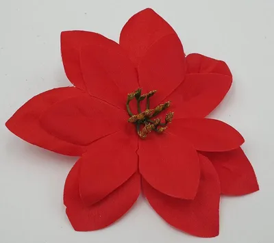 Image de 12 têtes « ÉTOILE DE BETHLÉEM » 14 cm AGT063