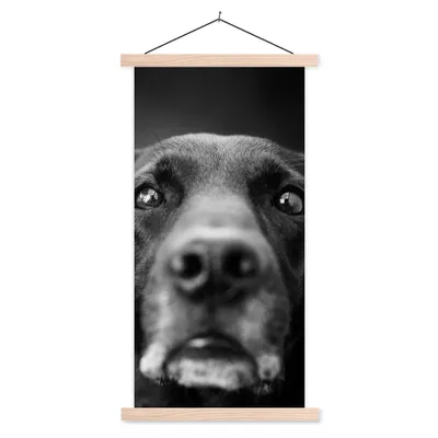 Produktbild von MuchoWow® Textilposter Tierprofil Labrador Hund in schwarz und weiß 60x120 cm mit holzfarbenen Rahmen - Holz