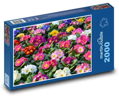 Produktbild von martinpuzzle - Puzzle 2000 Teile - Bunte Primelblüten