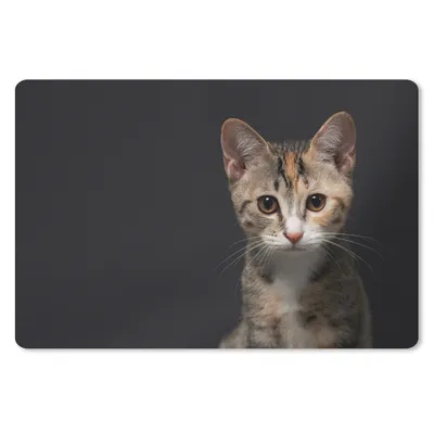 Produktbild von MuchoWow® Schreibtischunterlage Katze - Schwarz - Porträt 60x40 cm - XXL Mauspad - Großes Mauspad