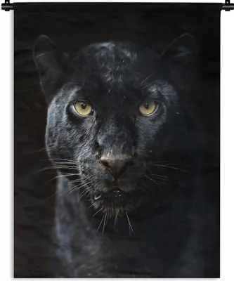 Produktbild von MuchoWow® Wandteppich Wandbehang Panther - Schwarz - Gelb 150x200 cm Tapisserie Dekoration Wandtuch - Wandaufhängung - Moderner
