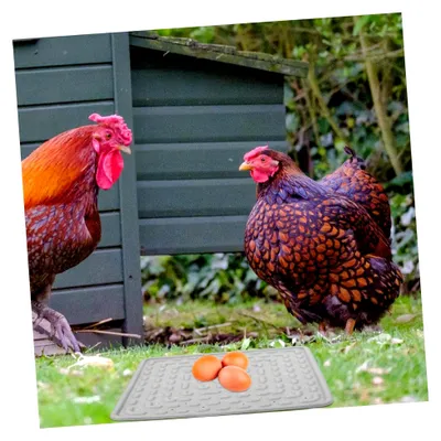 Produktbild von 2 Stück Hühnernistunterlagen zum Eierlegen aus Kunststoff