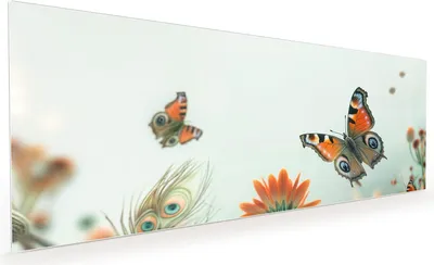 Produktbild von Küchenrückwand Spritzschutz Glas mit Motiv Schmetterling Wiese 40 x 40 cm