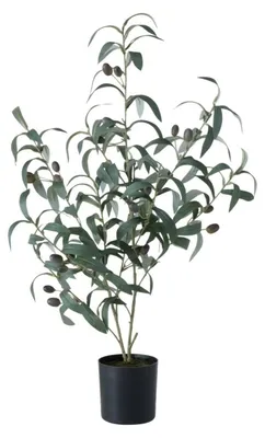 Produktbild von Kunstpflanze Olivenbaum, 70 x 25 cm