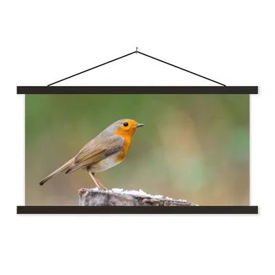 Produktbild von MuchoWow® Textilposter Tiere - Vogel - Rotkehlchen 120x60 cm mit schwarzem Rahmen - Dekoration Schlafzimmer