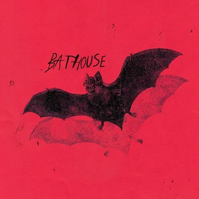 Produktbild von Bathouse: Bathouse - Bertus Musikvertrieb - (LP / B)