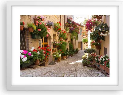 Produktbild von Gerahmtes Poster - Weißer Rahmen - Blume Straße Haus - 40x30 cm - Wand Bild - Wanddeko - Wandbilder - Kunstposter - Wandposter - Bilderrahmen - Bilder - Kunstdruck - Wandbild - P2WAA40x30-3586