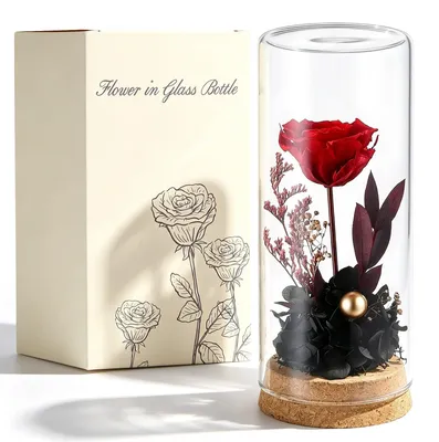 Ewige Rose unter Glasglocke, 16 cm, rot, konservierte Blume
