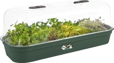 Produktbild von Green Basic Anzuchtschale L | Anzuchtschale von Elho, Farbe:laubgrün