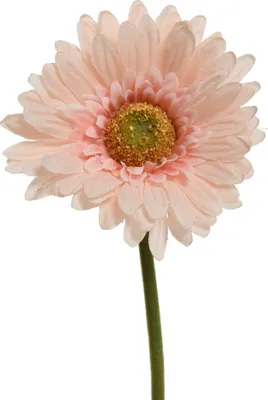 Produktbild von Decoris Künstliche Blume Gerbera H50CM Pink