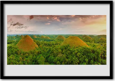 Produktbild von Bild 70x50 MDF-Rahmen Wandkunst Dschungel Wald Natur