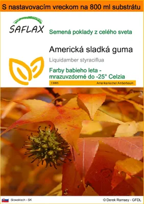 Obrázok produktu pre SAFLAX Garden in the bag - Americká sladká guma - Liquidamber styraciflua - 100 Semená - S pestovateľským substrátom v praktickom samostaviteľnom vrecku