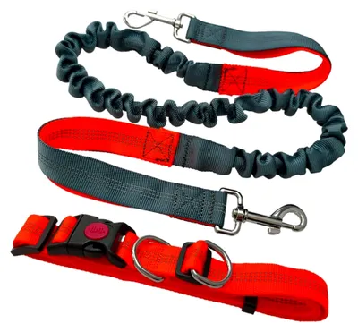 Produktbild von Freihändige Hundeleine in Orange mit verstellbarem Hüftgurt und grauer dehnbarer Bungee-Leine, Jogging-Hundeleine mit reflektierenden Nähten