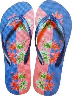 Obrázek produktu pro ŽABKY "PLAMEŇÁK" VEL. 38/25,3CM - mix variant či barev