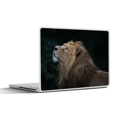 Produktbild von MuchoWow® Laptop Aufkleber Sticker Cover Löwe - Schwarz - Dschungel 40x30 cm - Laptop Dekoration - Selbstklebend